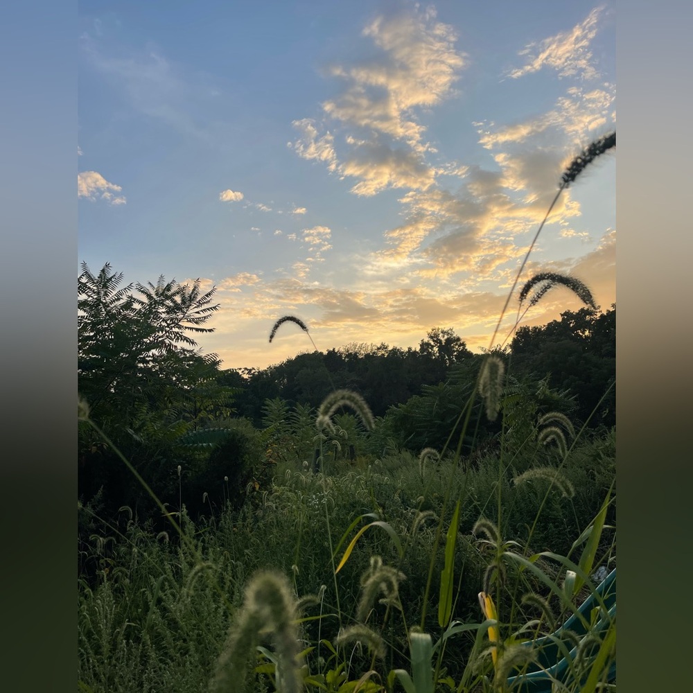 Meet your Posher, Bethany